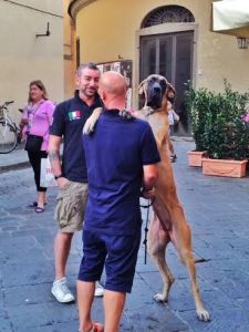 And one last pic to sign off humorously... You never know what you might see around town!