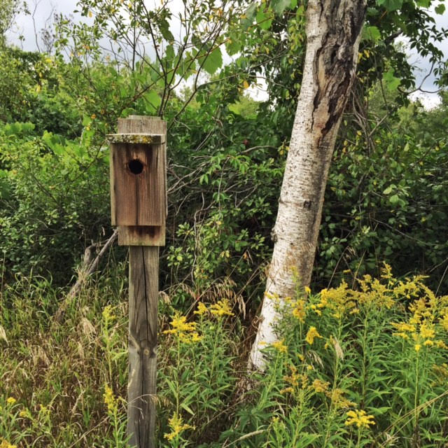 Processed with Snapseed.