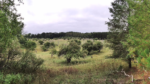 Processed with Snapseed.